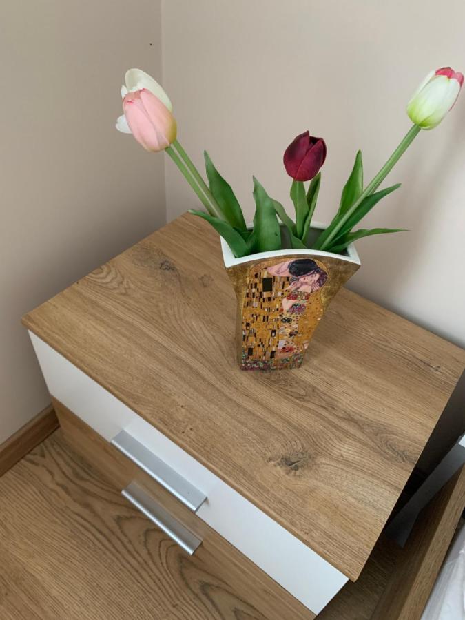 Zsuzsa Apartman Hajdúszoboszló المظهر الخارجي الصورة